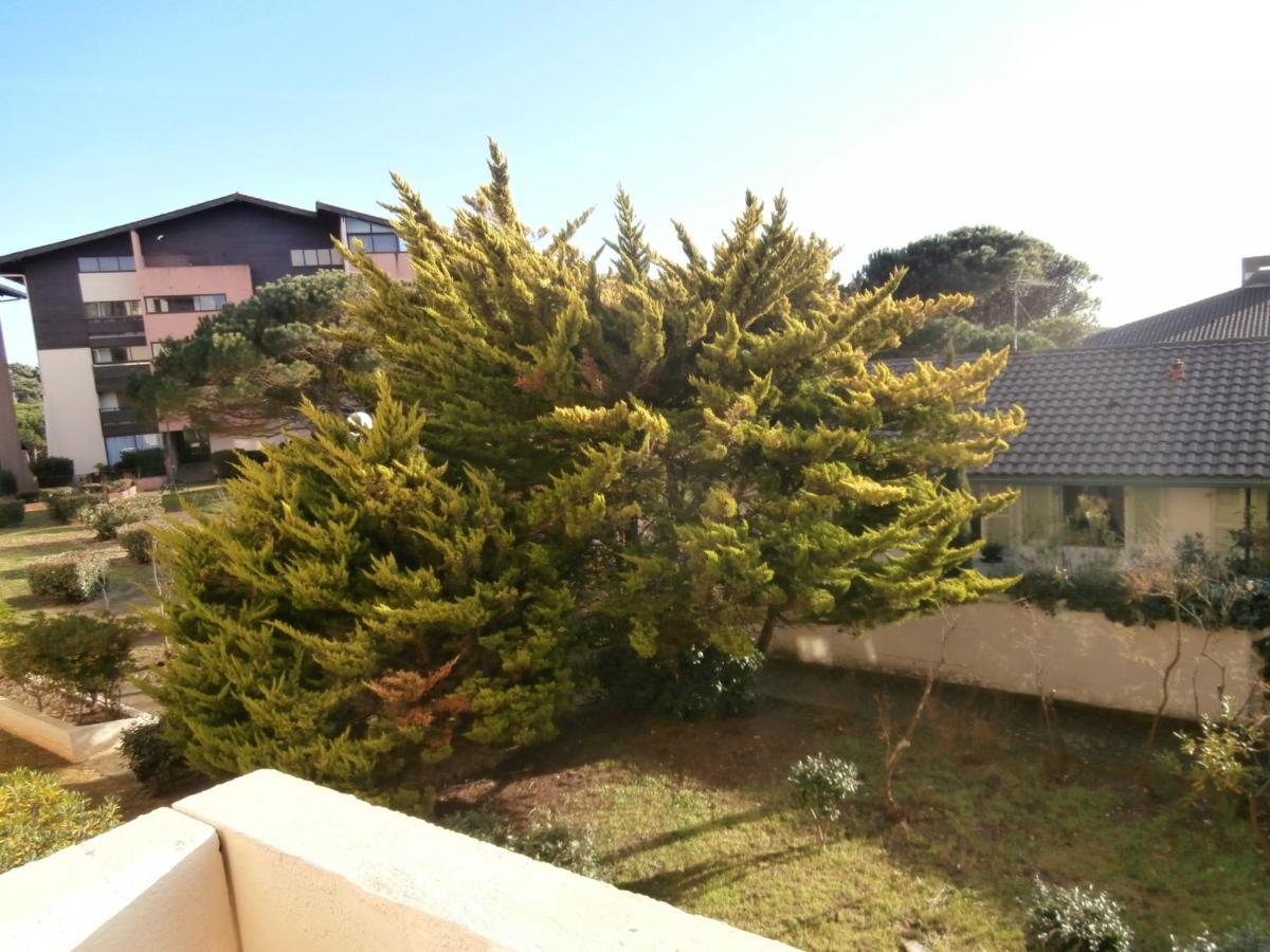 Appartement Renove Avec Balcon, Proche Plage Et Marche - 4 Pers, Calme & Confort A Seignosse - Fr-1-239-460 Экстерьер фото